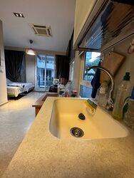 Parc Elegance (D15), Apartment #406737741